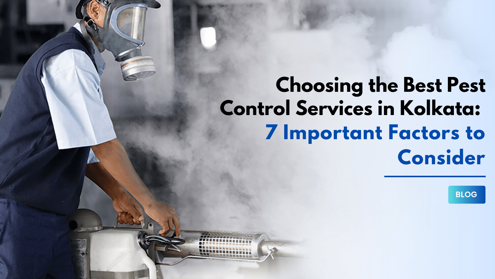 Choosing the Best Pest Control Services in Kolkata: 7 Important Factors to Consider