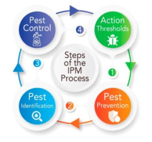 Integrated Pest Management (IPM)