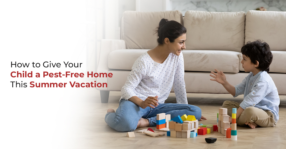 How to Give Your Child a Pest-Free Home This Summer Vacation