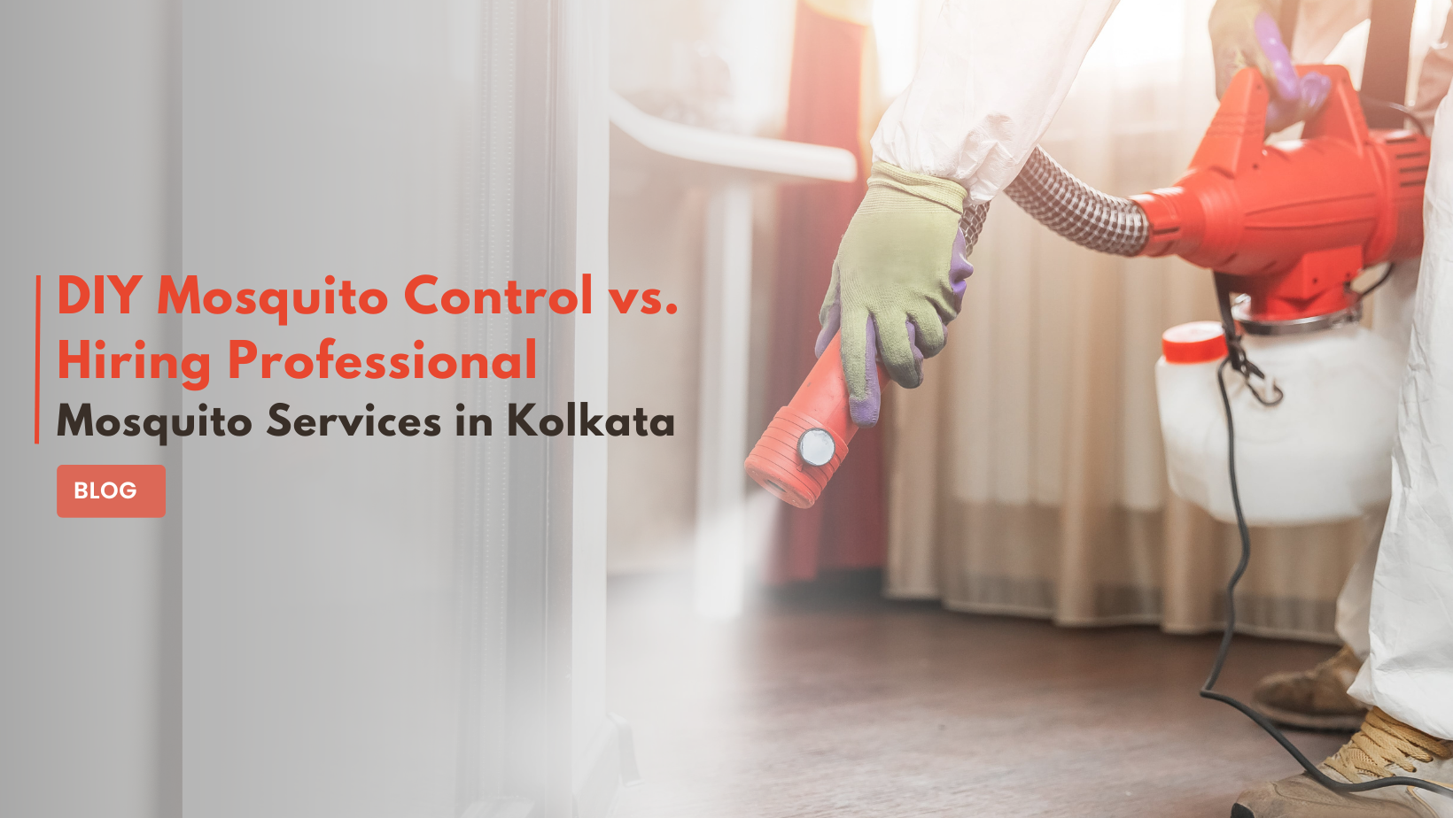 DIY Mosquito Control vs. Hiring Professional Mosquito Services in Kolkata