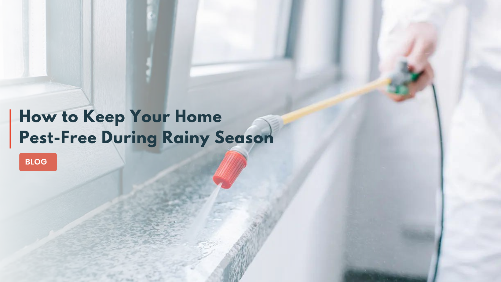 How to Keep Your Home Pest-Free During Rainy Season