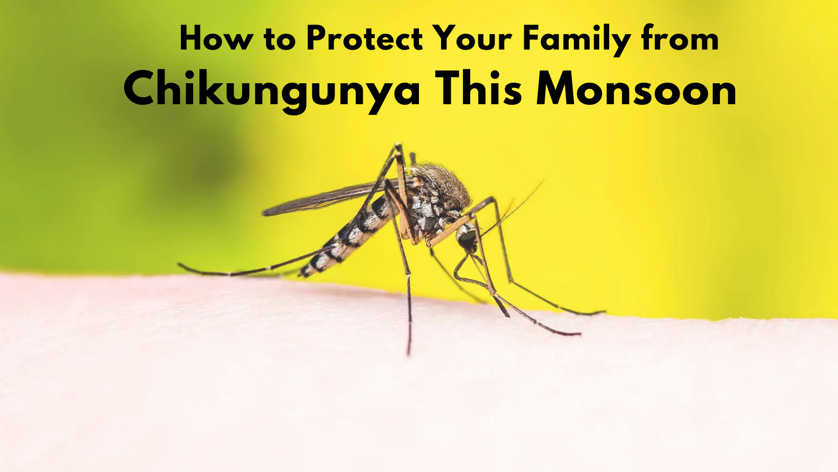 How to Protect Your Family from Chikungunya This Monsoon