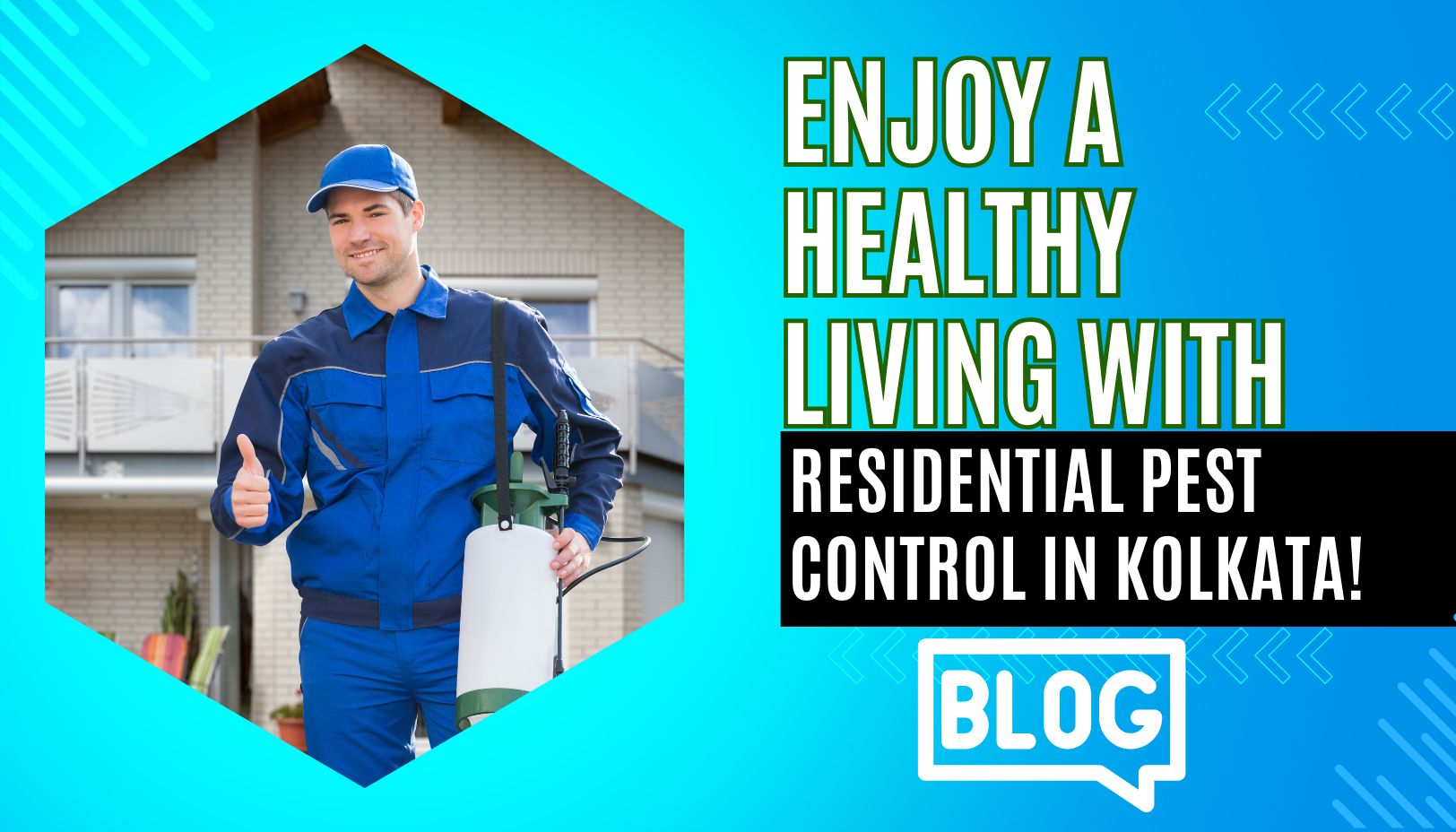 How Can I Choose Effective Residential Pest Control in Kolkata?