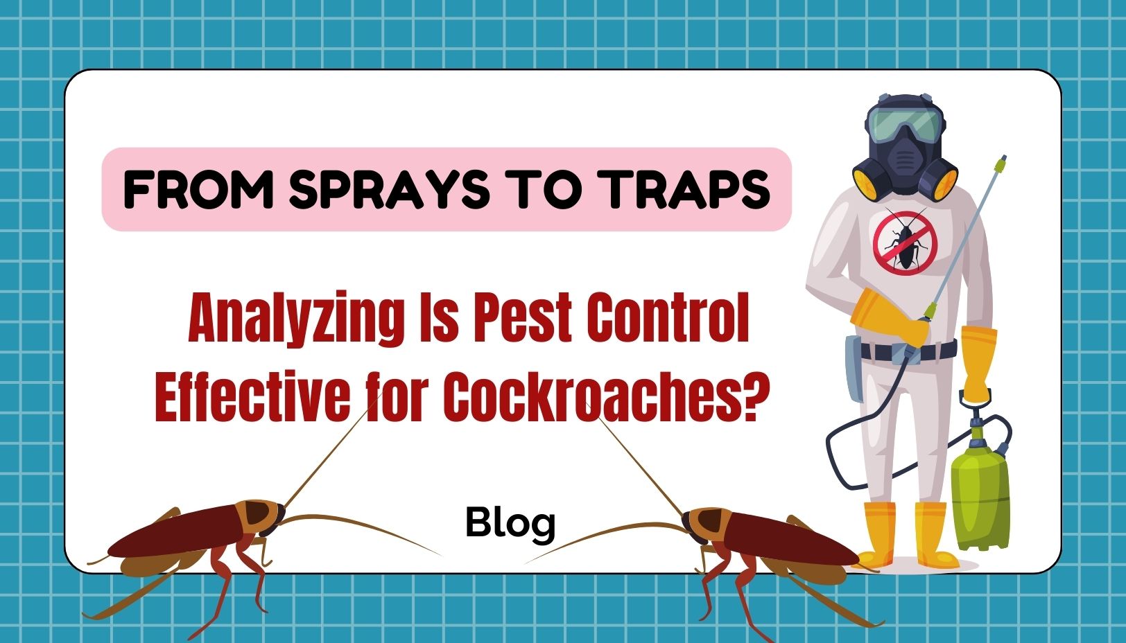 From Sprays to Traps: Analyzing Is Pest Control Effective for Cockroaches?