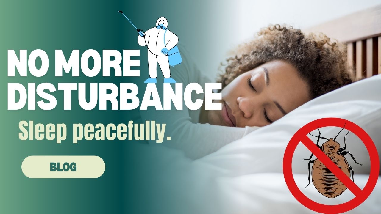 No more disturbance: Sleep peacefully.