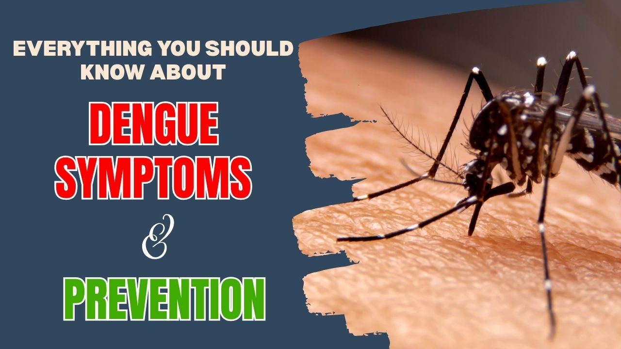 Everything You Should Know About Dengue symptoms