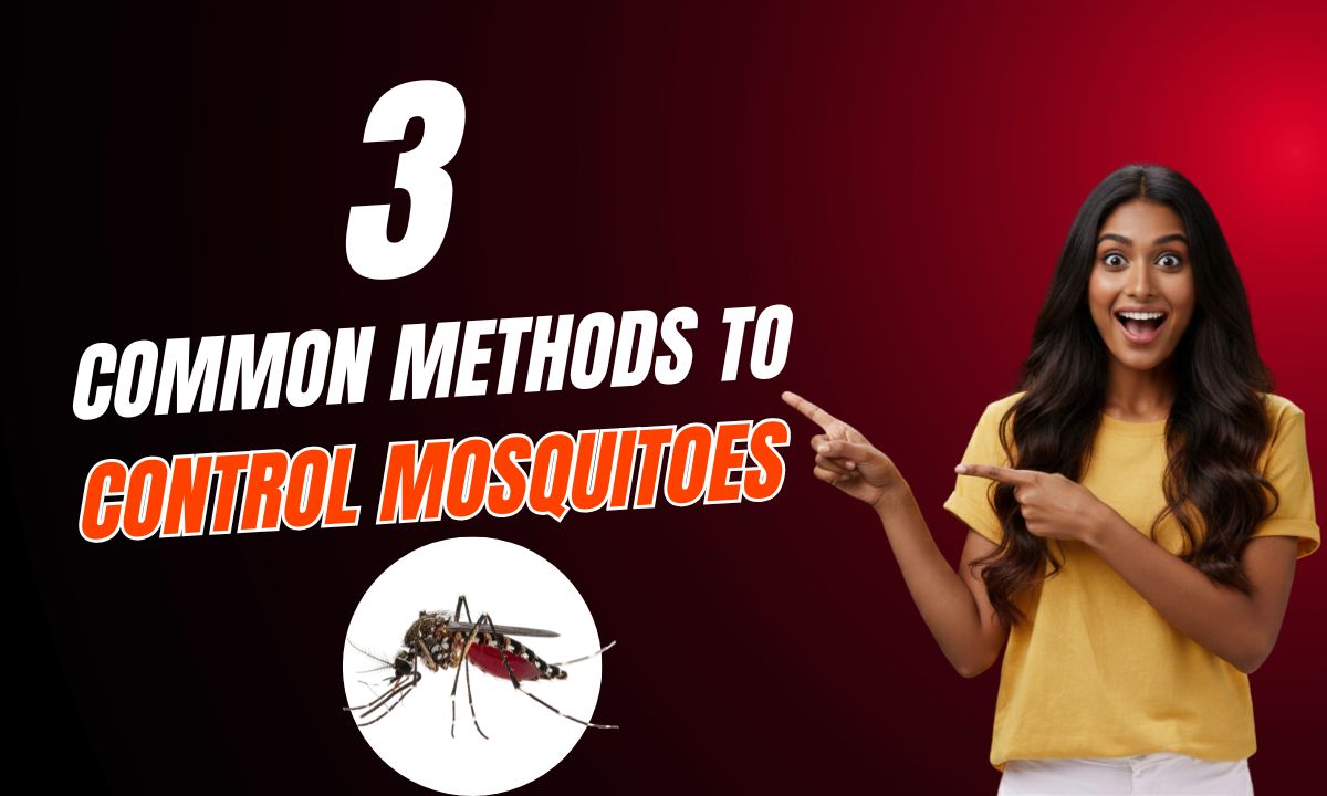 What are 3 common methods to control mosquitoes